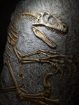 Fossile da parete " Deinonychus " PROMO CODICE "OSSA"