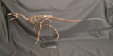 Compsognathus