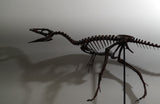 Compsognathus